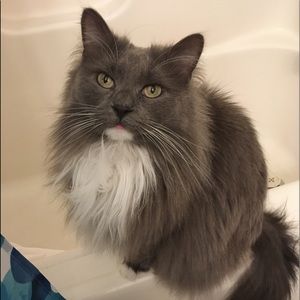 Meet your Posher, Gina